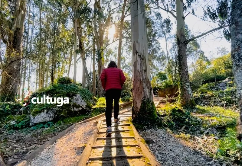 Pia do Urso Aldeia de Portugal