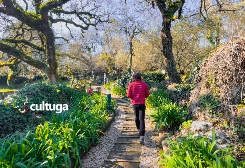 Pia do Urso Aldeia de Portugal