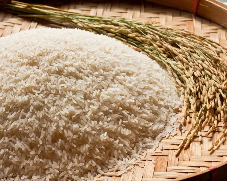 Lojas e restaurantes para celíacos em Lisboa lugares sem gluten Lisboa