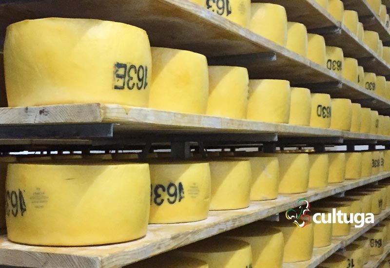 queijos portugueses: São Jorge