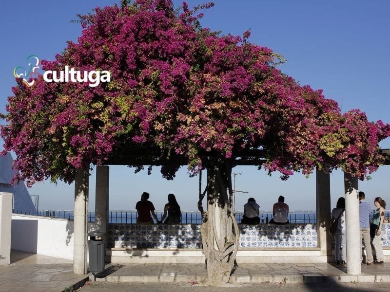 Miradouro de Santa Luzia, Lisboa, Portugal - Cultuga