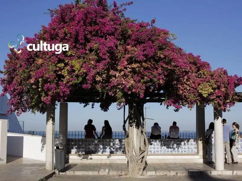 Miradouro de Santa Luzia, Lisboa, Portugal - Cultuga